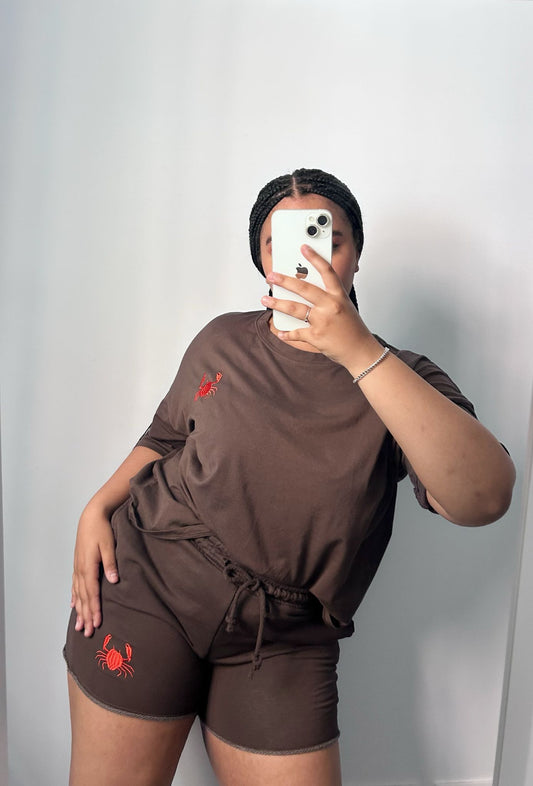 Conjunto Ariel Marrón